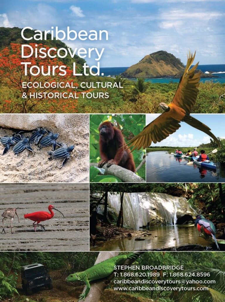 Caribbean Discovery Tours Ltd.