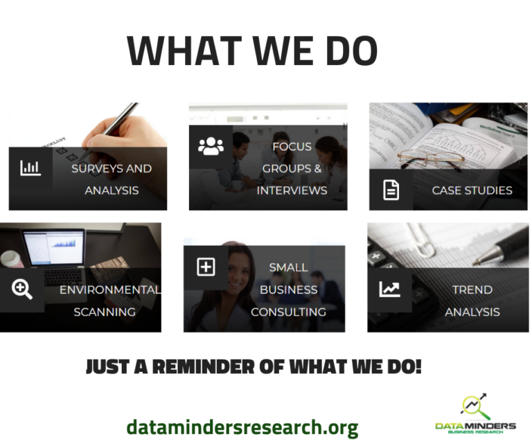 Data Minders Business Research