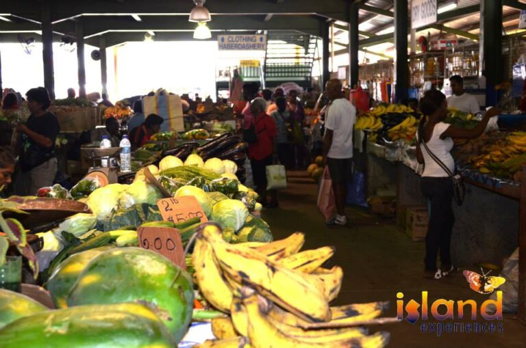 Island Experiences Island Experiences