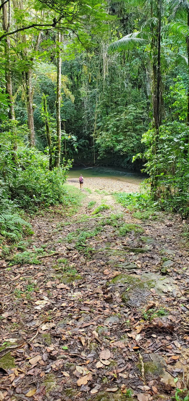 Kellars Shuttle Service Port of Spain Kellars Shuttle Service Port of Spain