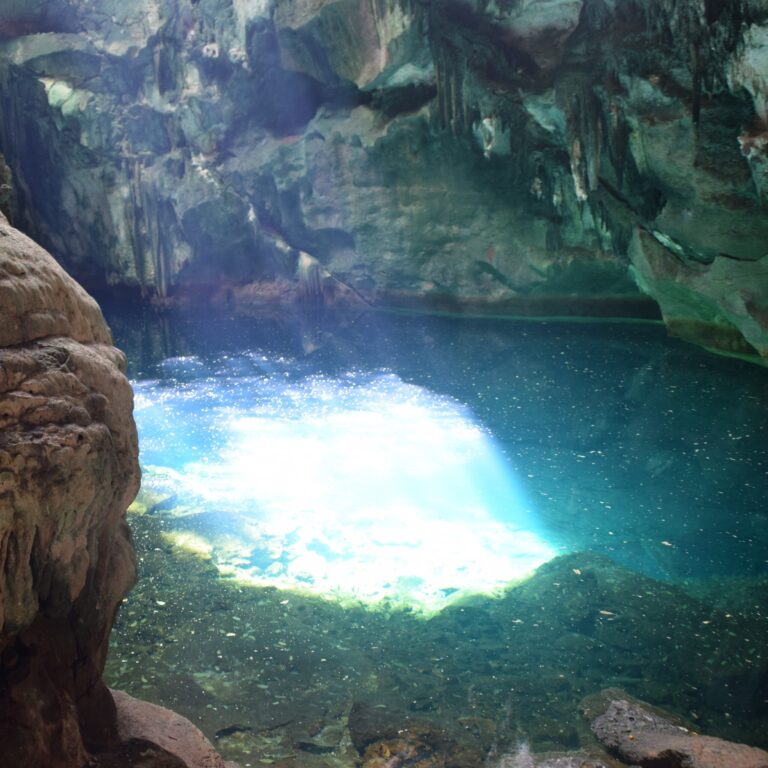 Trini Riddims Cultural Tours Trini Riddims Cultural Tours