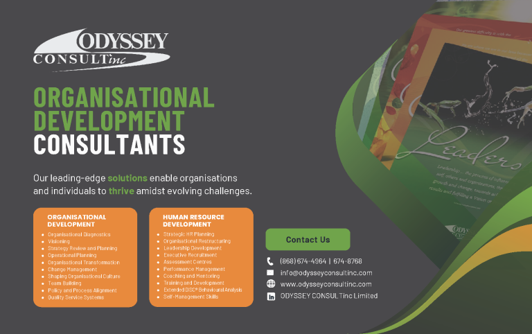 ODYSSEY CONSULTinc 768x482